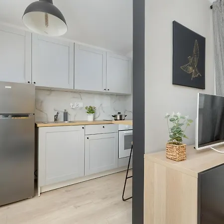 Modernly Arranged In By Renters Katoviçe