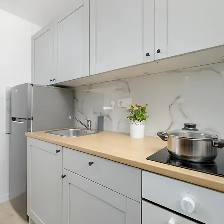 Appartement Modernly Arranged In By Renters Katowice