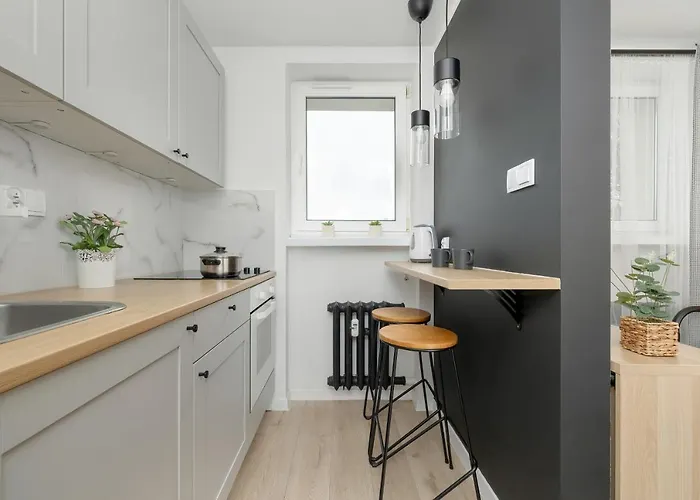 Modernly Arranged In By Renters Apartamento Katowice