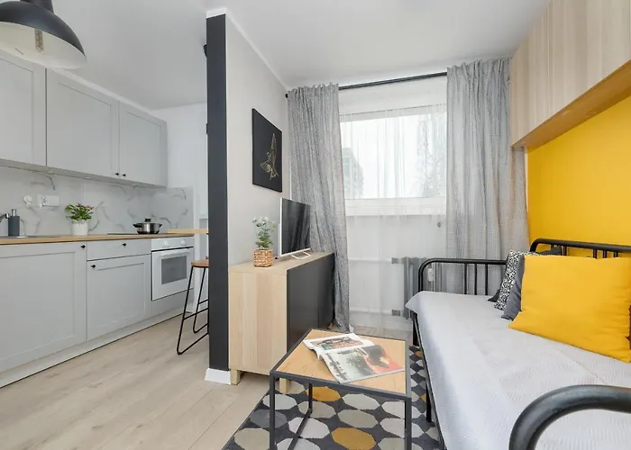 Apartment Modernly Arranged In By Renters *