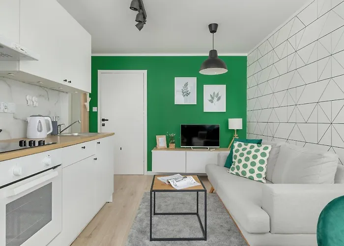 Apartment Modernly Arranged In By Renters *
