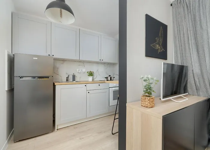 Modernly Arranged In By Renters Katowice
